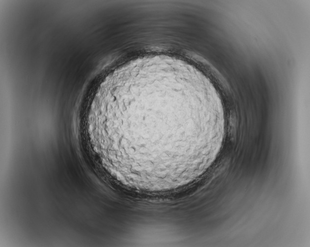 X0000086950734200705141821