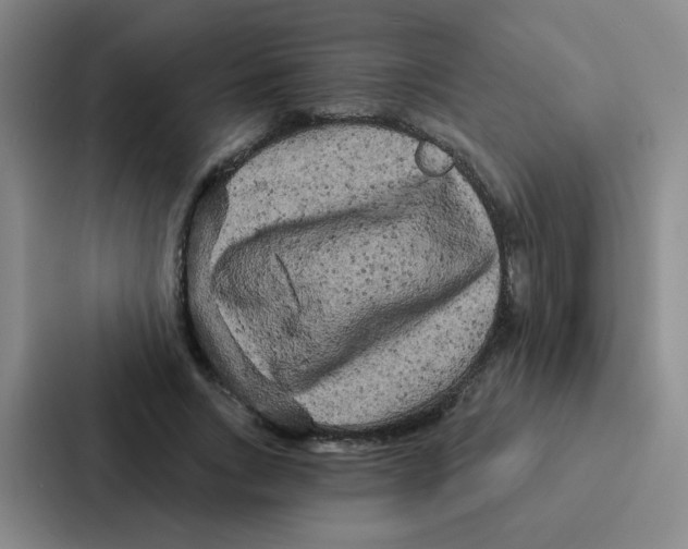 X0000086950735200705141821