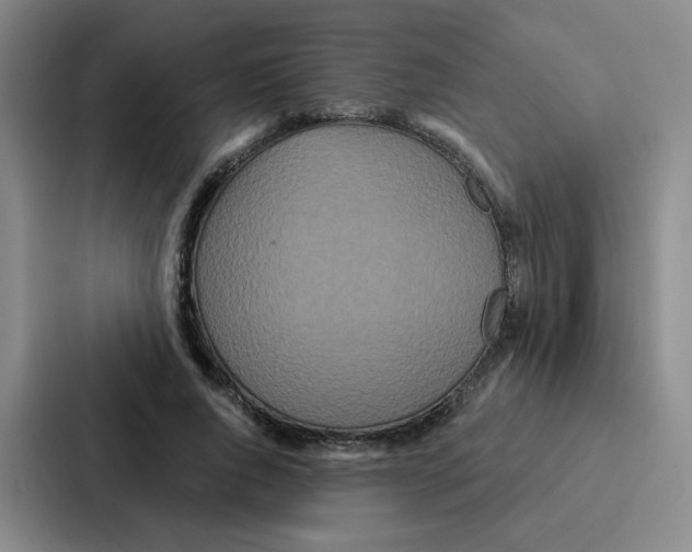 X0000086950736200705141821