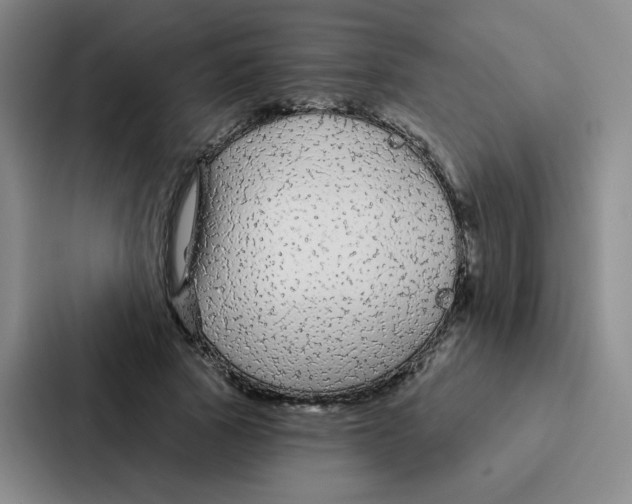 X0000086950737200705141822