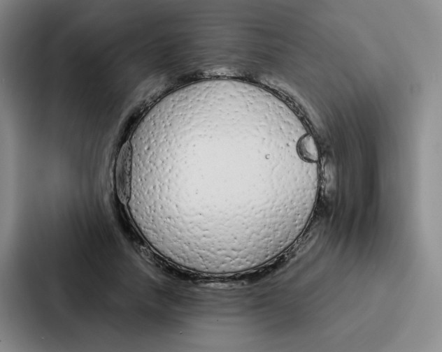 X0000086950738200705141822