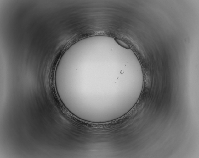 X0000086950740200705141822