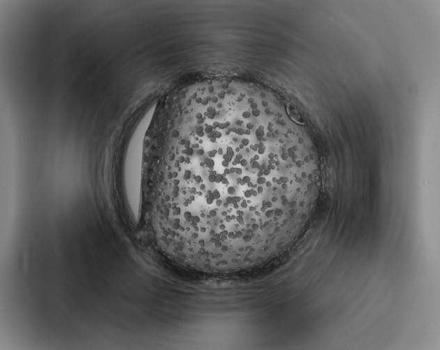 X0000086950742200705141822