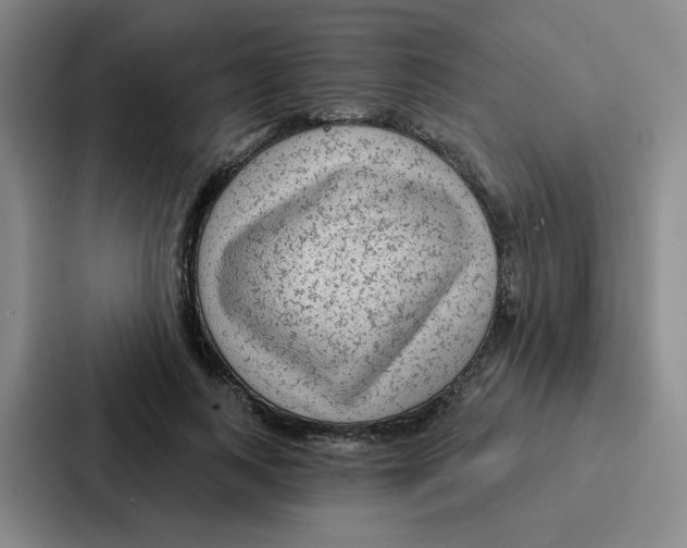 X0000086950743200705141822