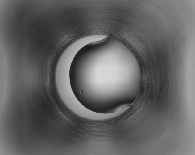 X0000086950744200705141822