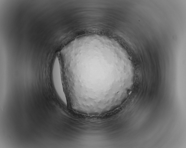 X0000086950745200705141822