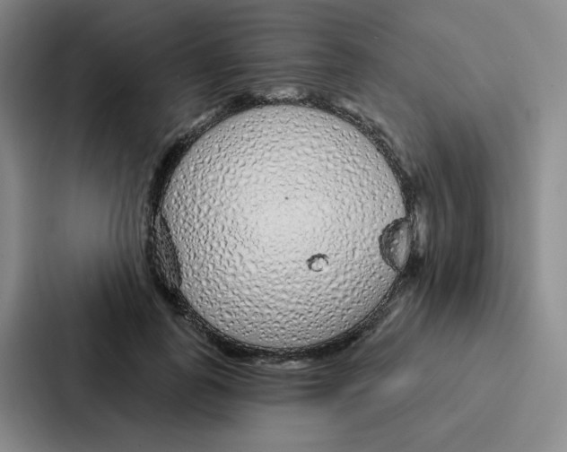 X0000086950747200705141822