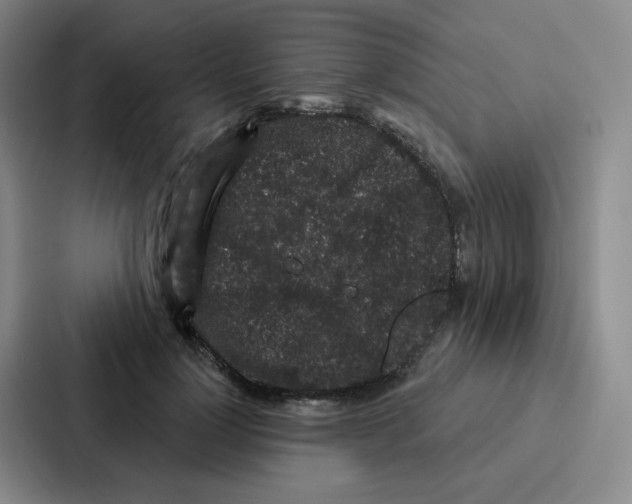 X0000086950748200705141822