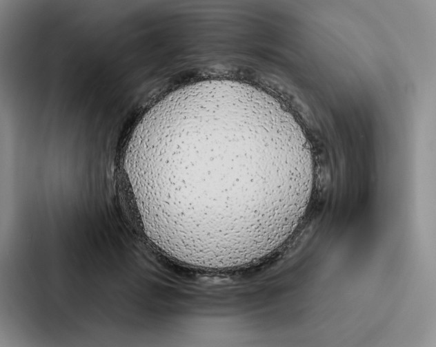 X0000086950749200705141822