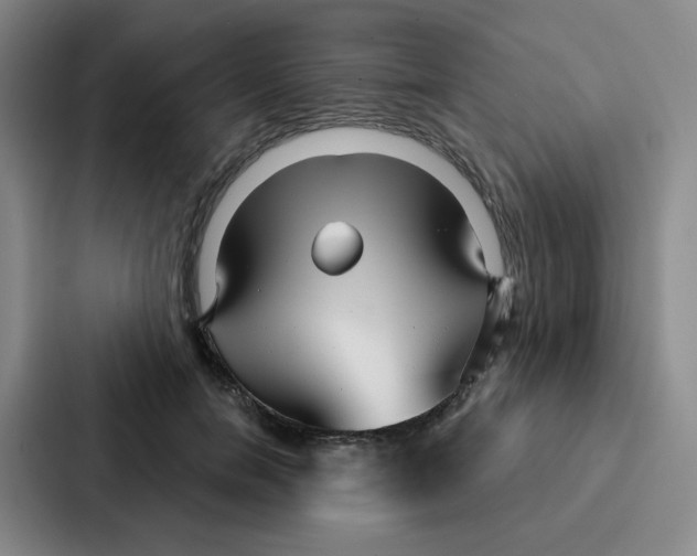 X0000086950750200705141822