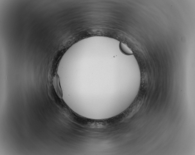 X0000086950751200705141822