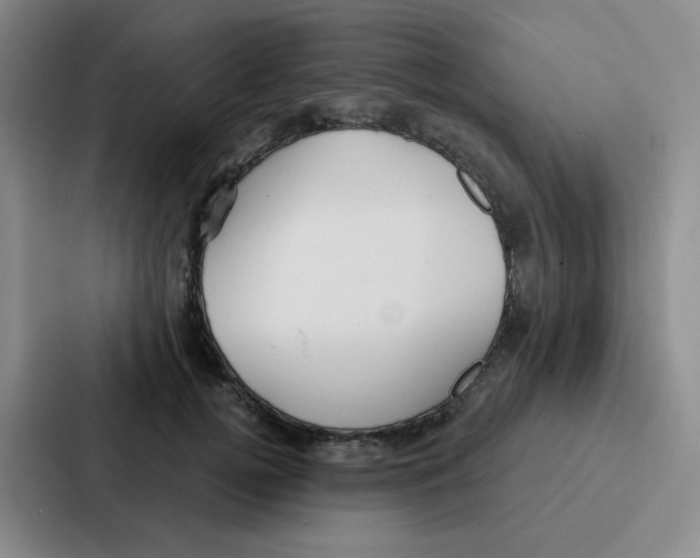 X0000086950752200705141822