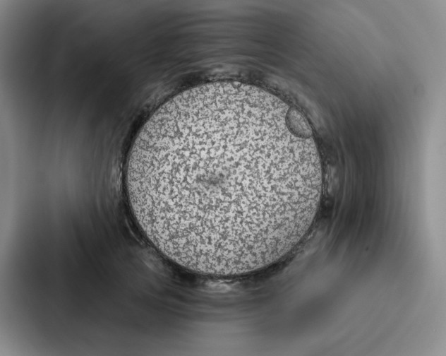 X0000086950753200705141822