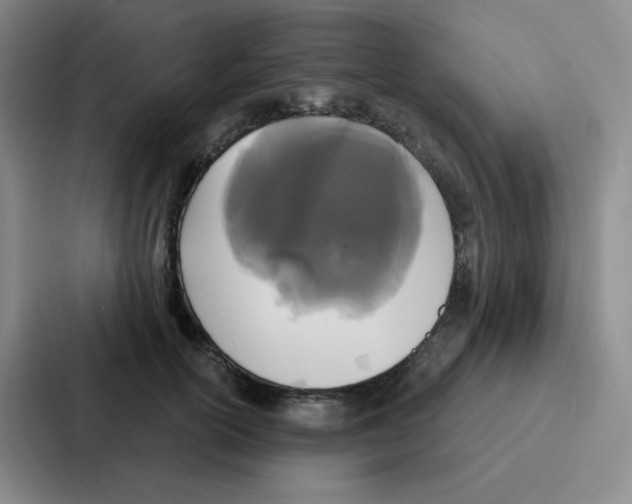 X0000086950754200705141822