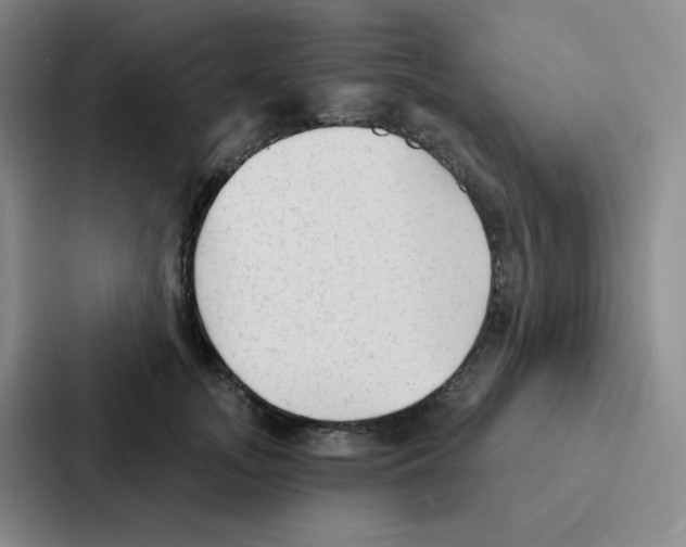 X0000086950755200705141822