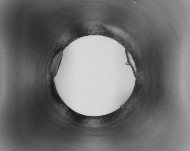 X0000086950756200705141822