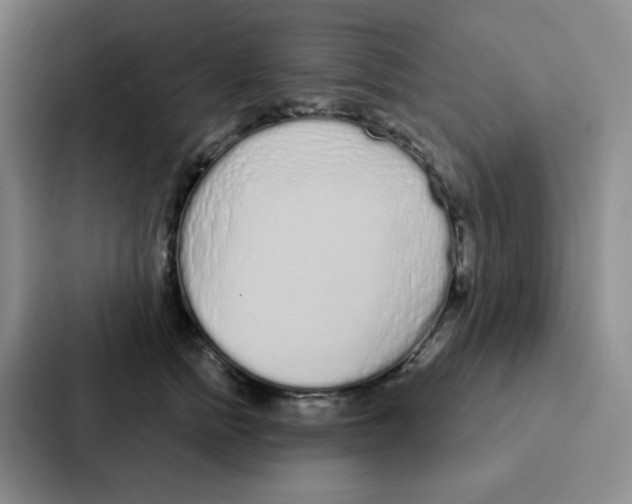 X0000086950758200705141822