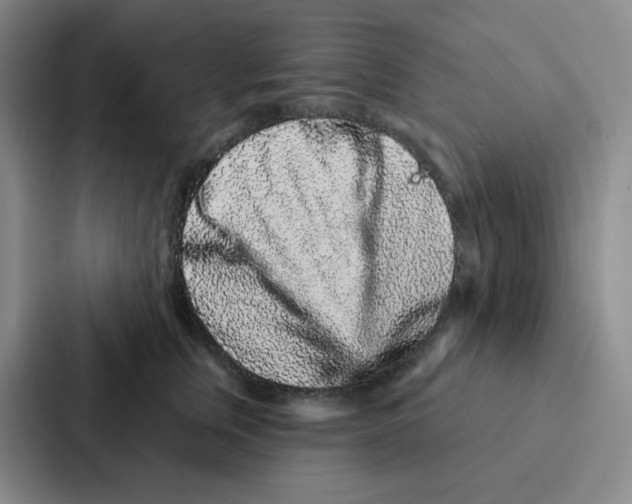 X0000086950759200705141822