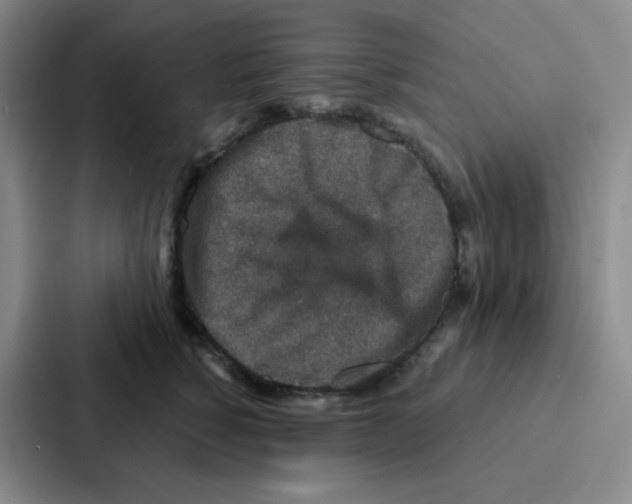 X0000086950760200705141822