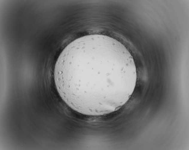 X0000086950761200705141822