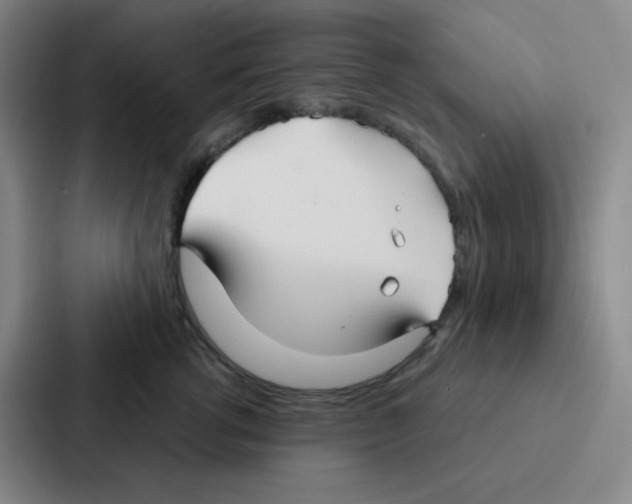 X0000086950762200705141822