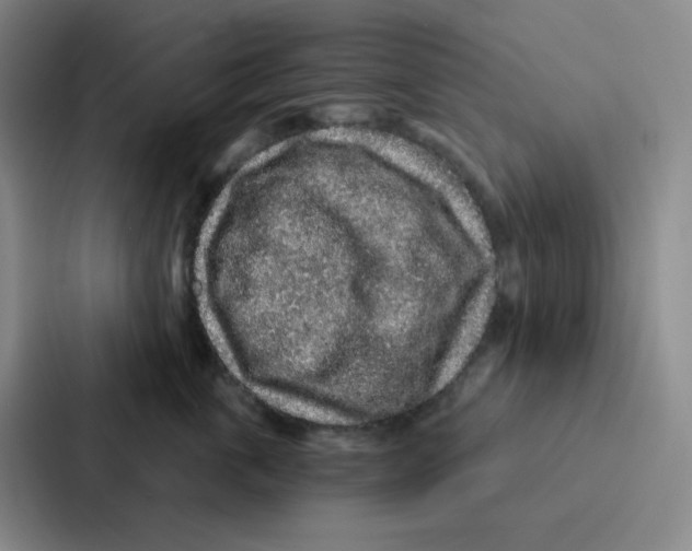 X0000086950763200705141822