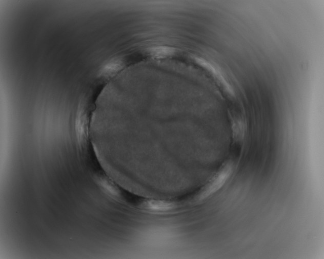 X0000086950766200705141822