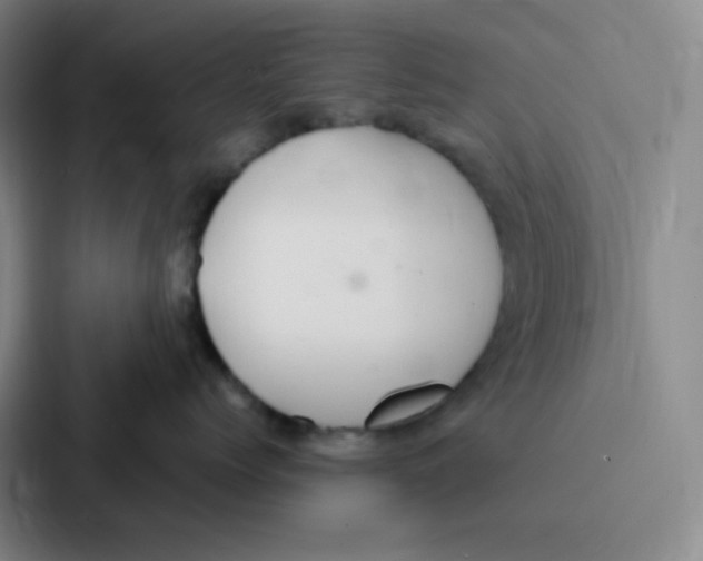 X0000086950768200705141822