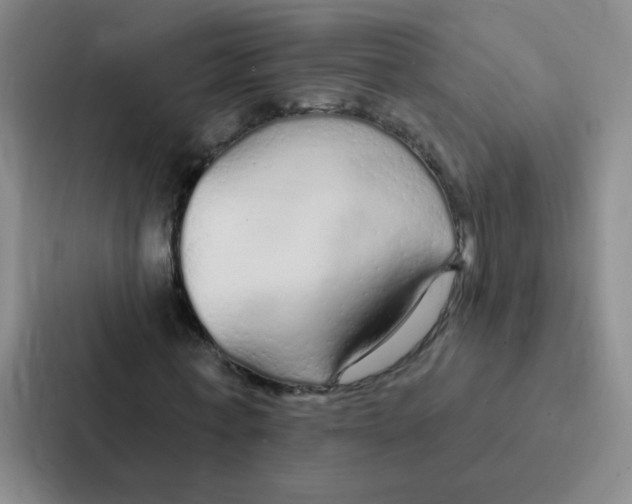 X0000086950771200705141821