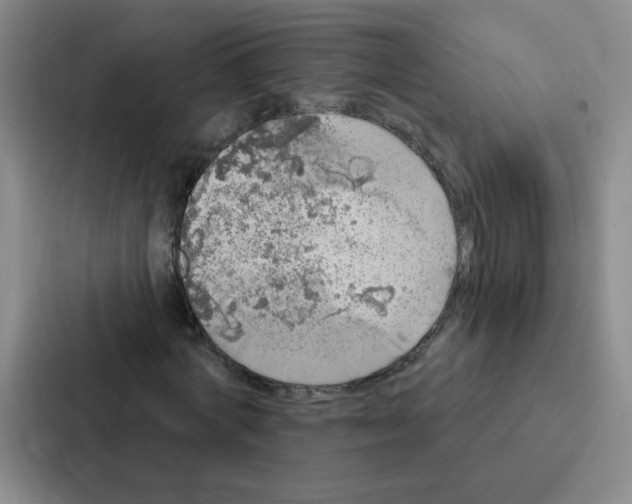 X0000086950772200705141821