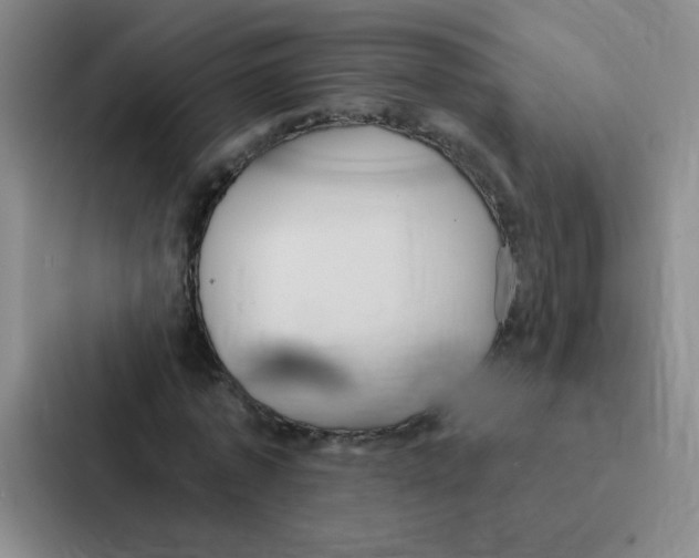 X0000086950773200705141821