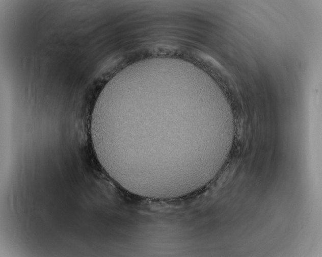 X0000086950774200705141821