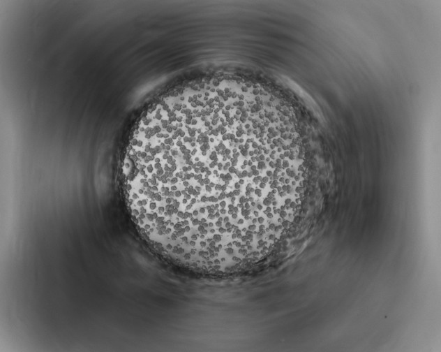 X0000086950775200705141821