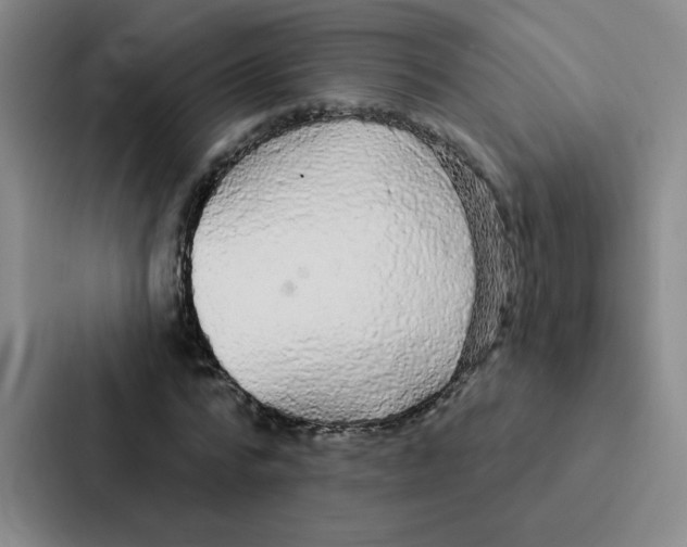 X0000086950776200705141821