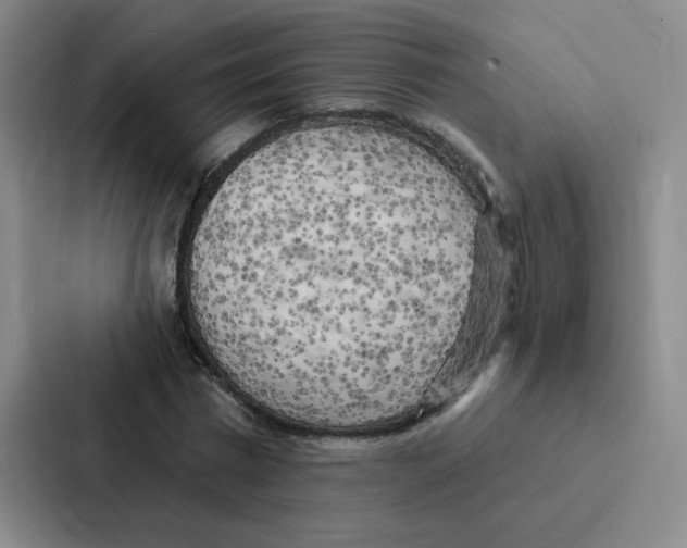 X0000086950777200705141821