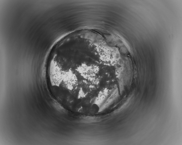 X0000086950779200705141821