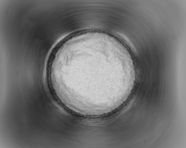 X0000086950780200705141821