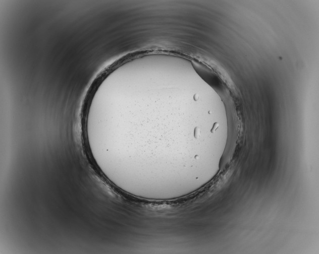 X0000086950784200705141821