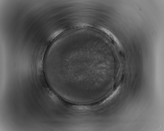 X0000086950785200705141821