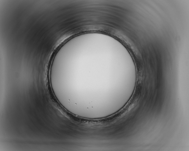 X0000086950786200705141821