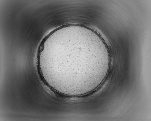 X0000086950787200705141821