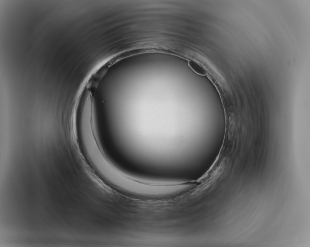 X0000086950788200705141821