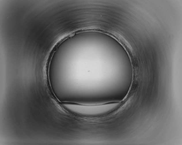 X0000086950789200705141821