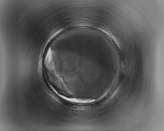 X0000086950790200705141821