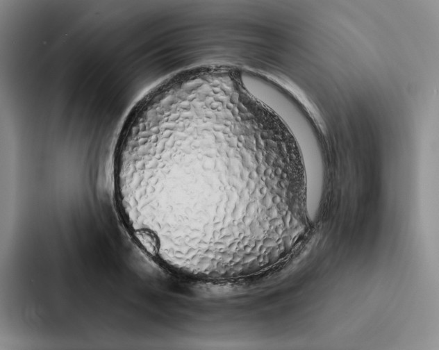 X0000086950791200705141821