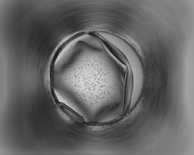 X0000086950792200705141821