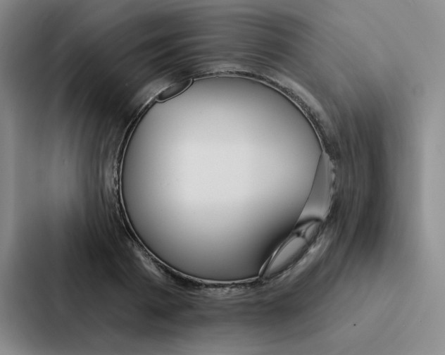 X0000086950793200705141821