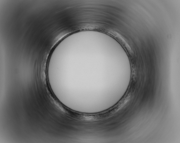 X0000086950794200705141821