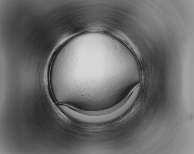 X0000086950795200705141821