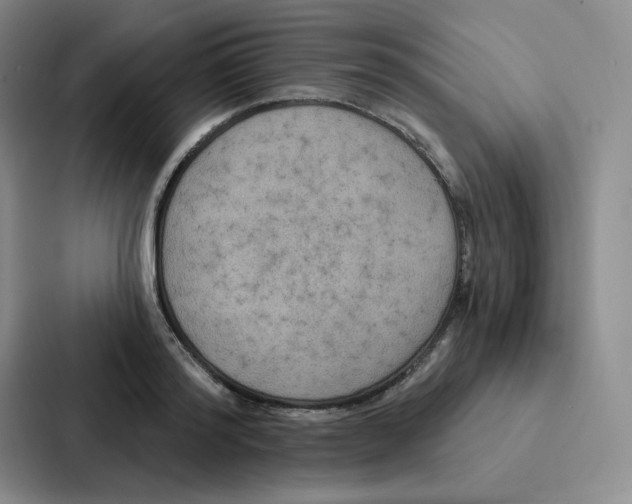 X0000086950796200705141821